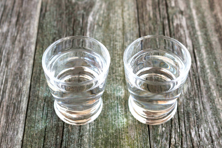 shot tekila shot tekila