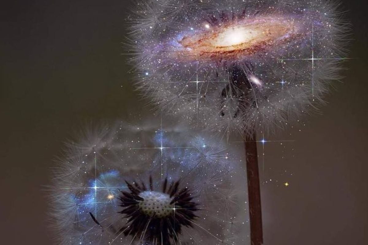 test Un test de personalidad es una herramienta diseñada para evaluar rasgos, características y patrones de comportamiento de una persona.