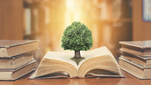 filosofía ambiental filosofía ambiental