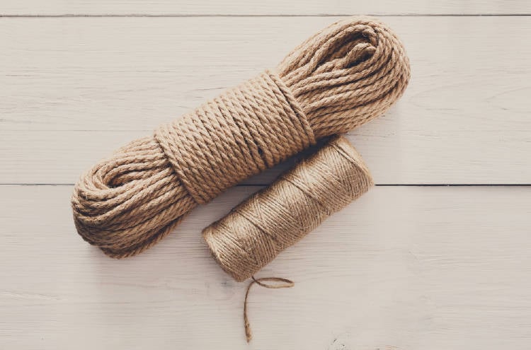 shutterstock_569222473 shutterstock_569222473.jpg