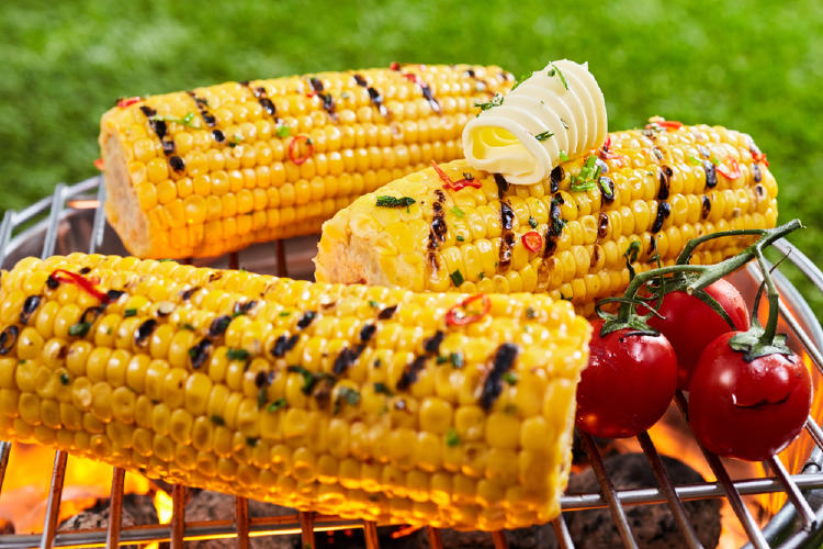 maíz grillado maíz grillado