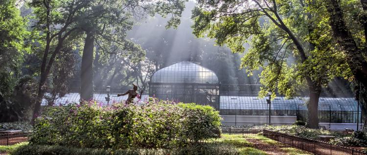 Jardin Botanico de Buenos Aires