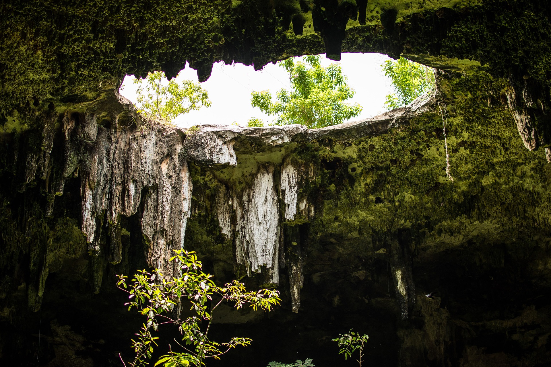 cenote cenote