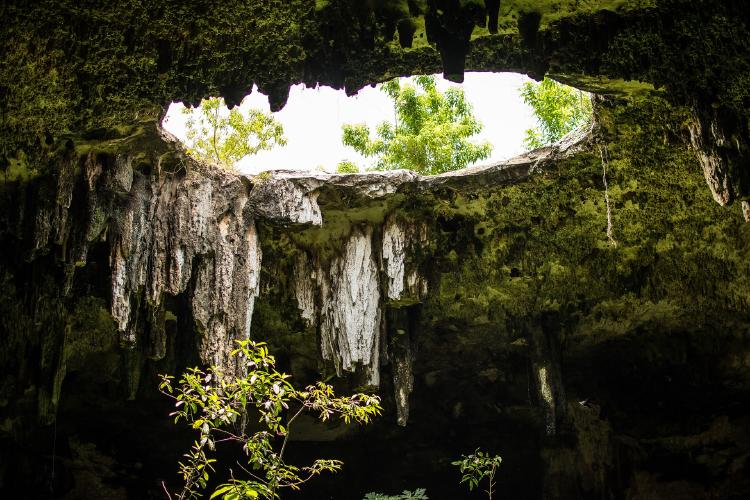 cenote