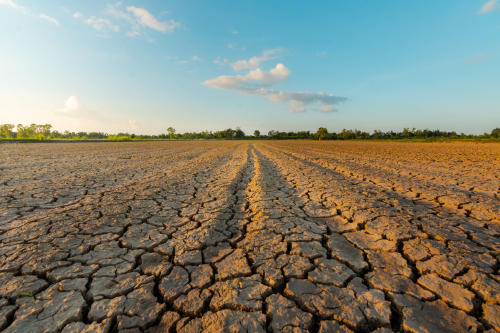 sequia AdobeStock_295563497 sequia AdobeStock_295563497