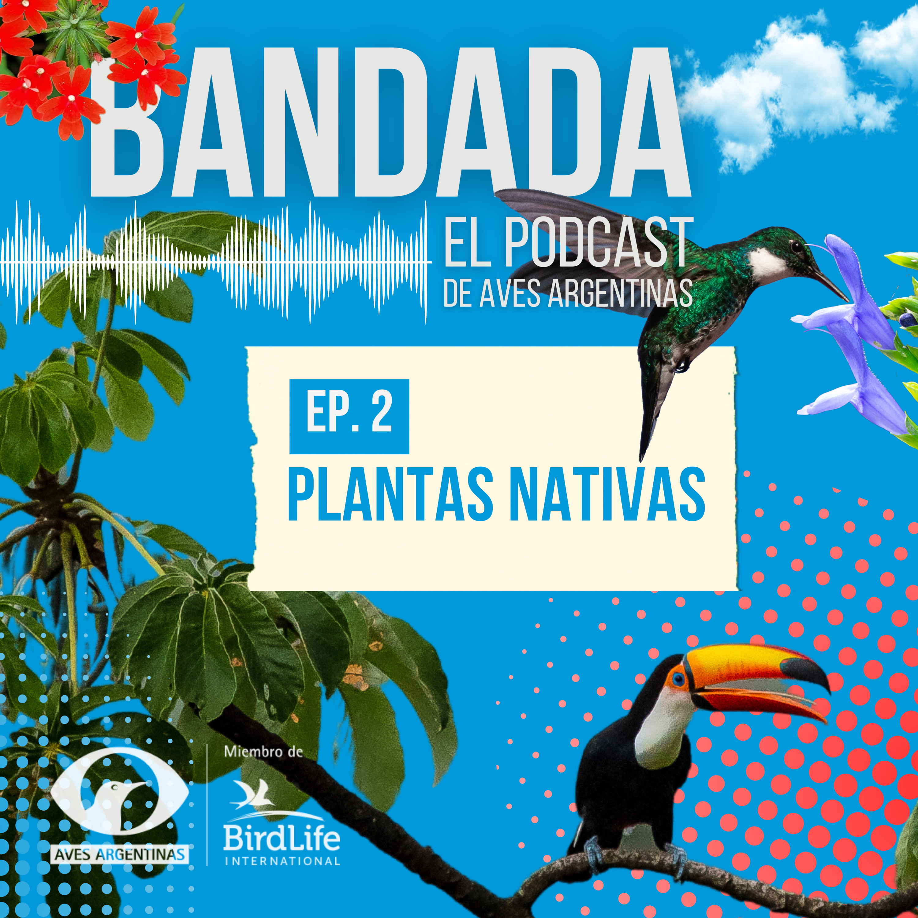 Podcast Cuadrado para feed (3) (1) Podcast Cuadrado para feed (3) (1)