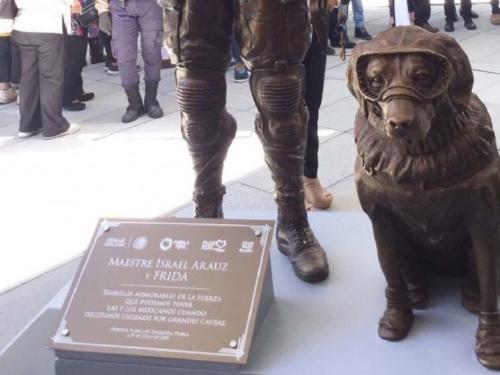 frida perrita3 frida perrita3