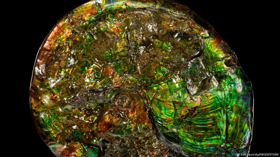 Los minerales de la Tierra Los minerales de la Tierra