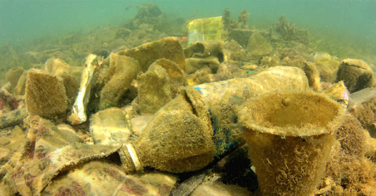 contaminación del agua