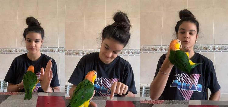 loro2 tiktok lavidadezeus loro2 tiktok lavidadezeus