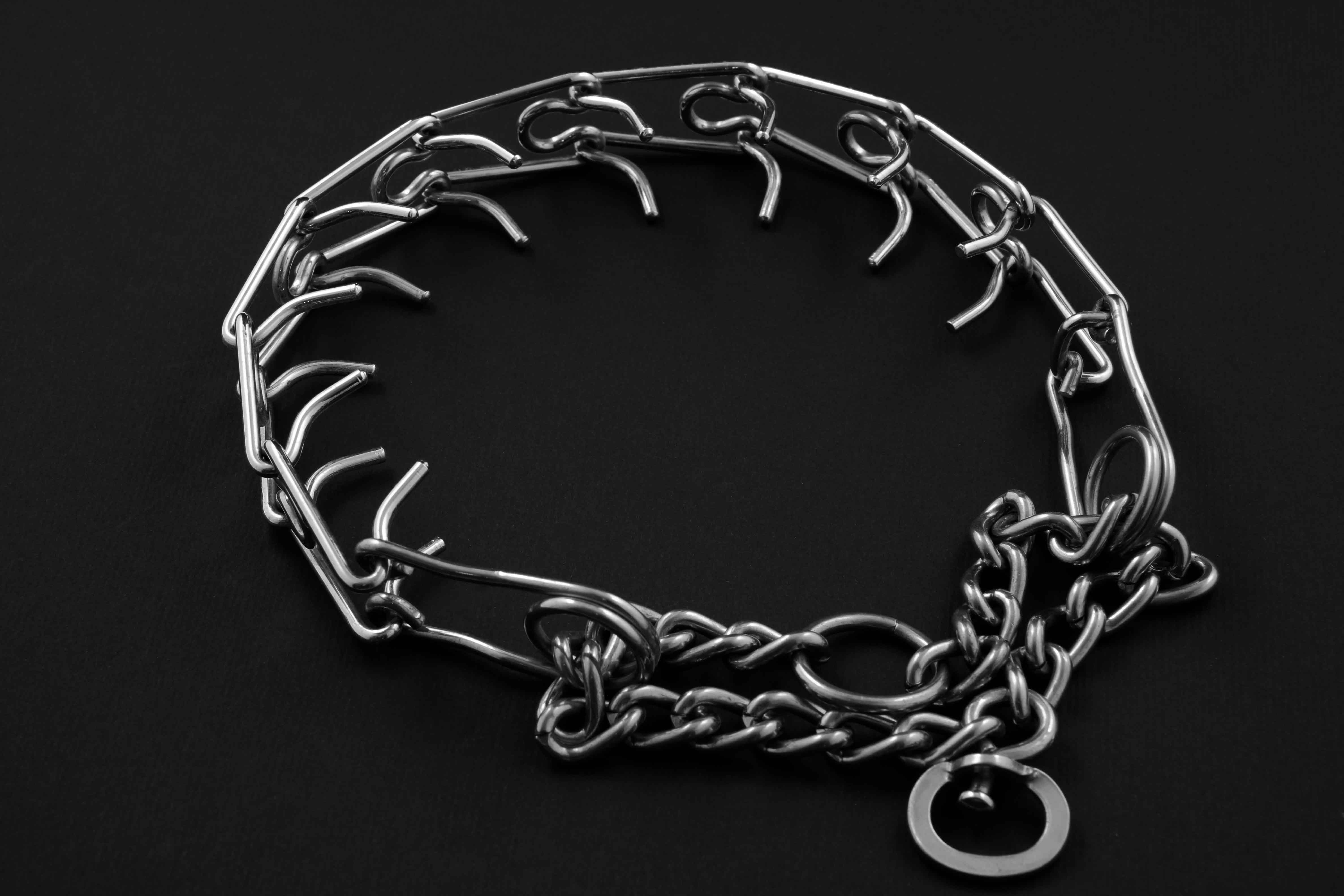 collar perro3 collar perro3