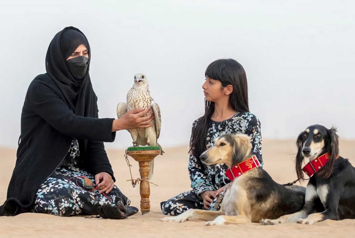 HALCONES CETRERIA3 HALCONES CETRERIA3