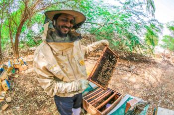 Beekeepr-Qatar-Khalid-Al-Suwaidi-in-action-c-Bu-Saif-Apiaries-2048x1366