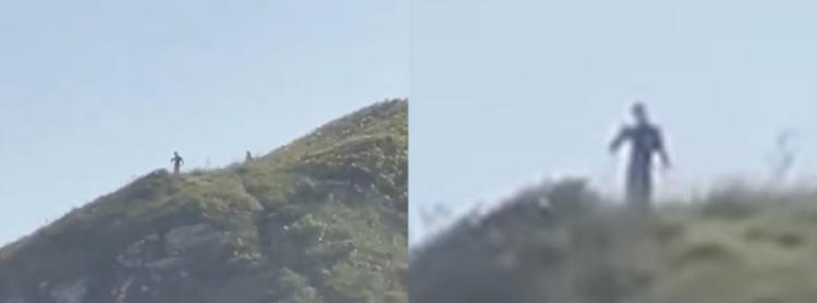 criatutas brasil2 criatutas brasil2