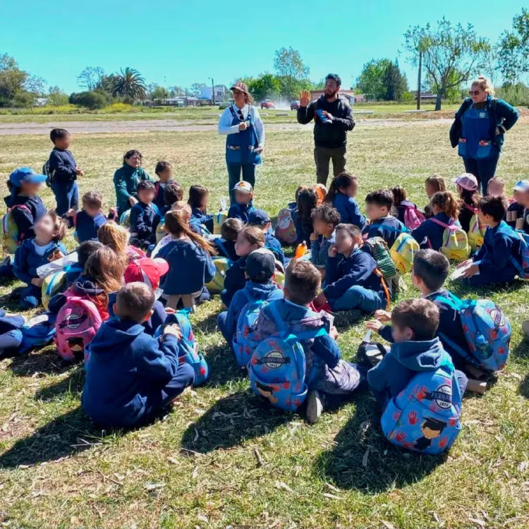 mauricio saavedra escuelas mauricio saavedra escuelas