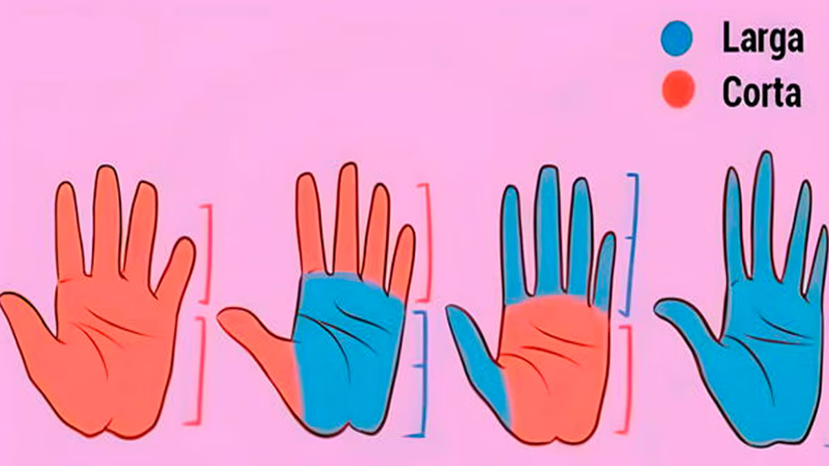 test manos Tendrás que elegir una opción y el test de personalidad te revelará tu perfil solidario. (Foto: namastest)