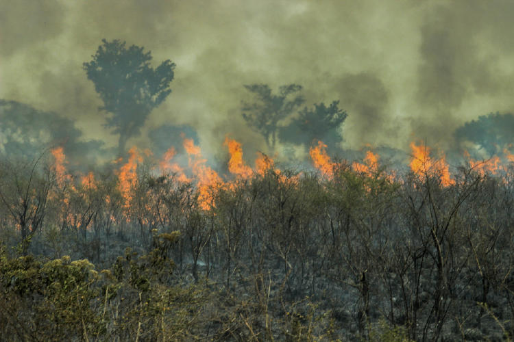 incendios amazonia incendios amazonia