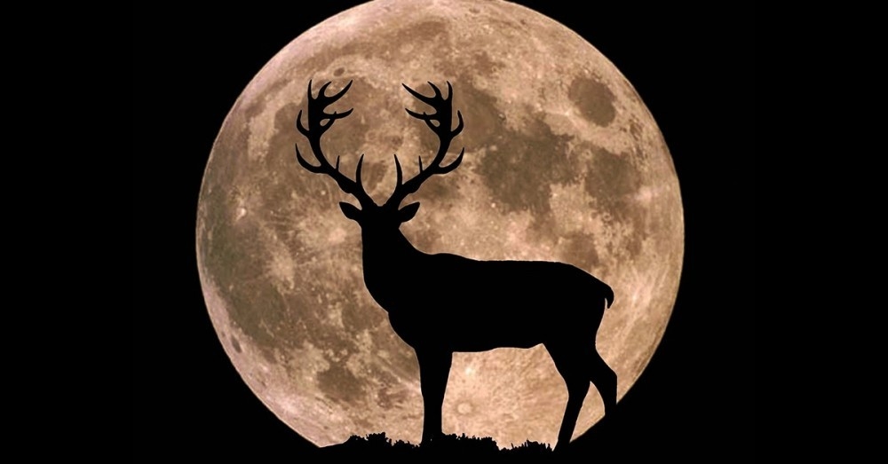 Qué es la "luna del ciervo" y cómo verla para capturar toda su energía