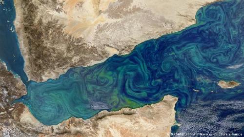 66224133_303 66224133_303