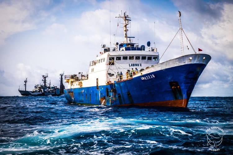 Mv Sam Simon en África