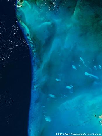 64529925 401 64529925 401