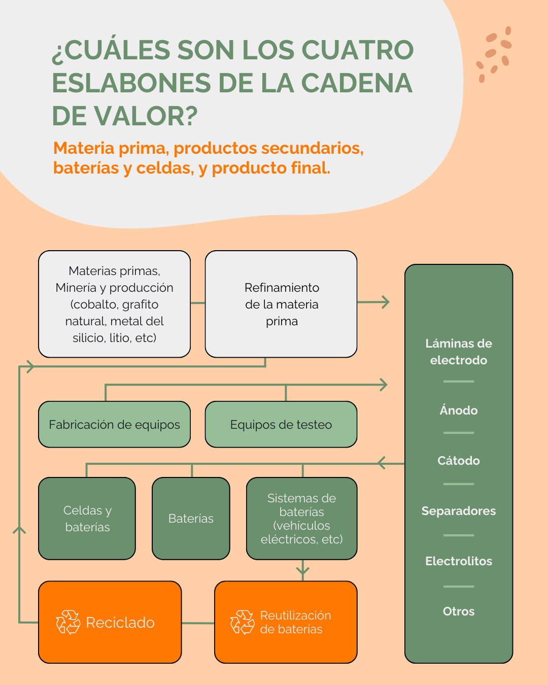 Infografía cadena de valor Infografía cadena de valor