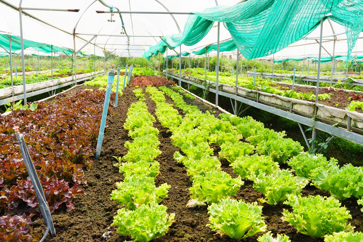 Huella hídrica Huella hídrica