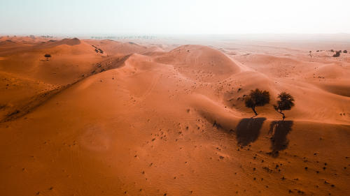 beautiful desert with sand dunes on sunny day