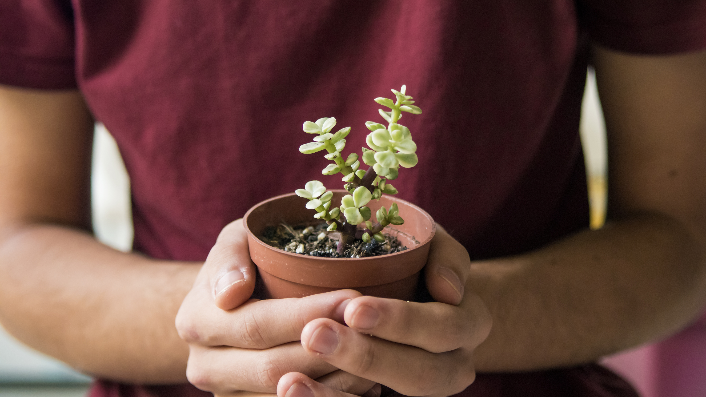 AdobeStock 429644773(2) AdobeStock 429644773(2)