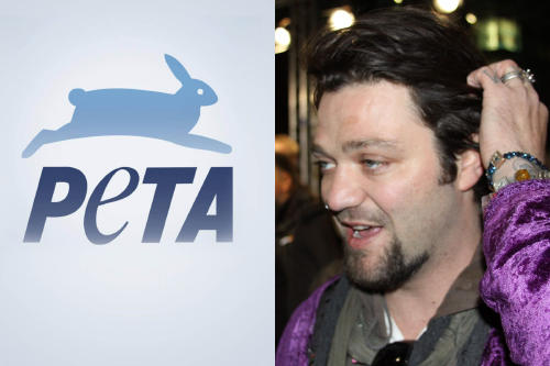 jackass peta jackass peta