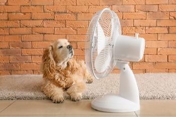 Ola de calor Ola de calor
