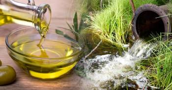 descubren aceite oliva puede llimpiar aguas residuales