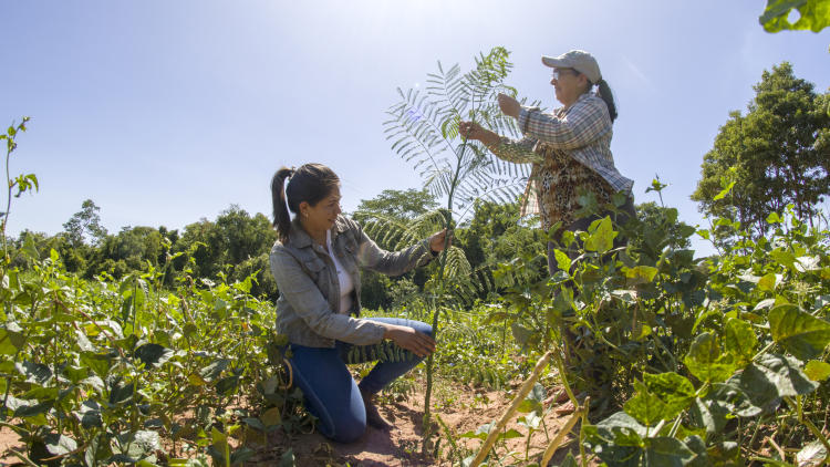 A021_01060408_S042 A021_01060408_S042