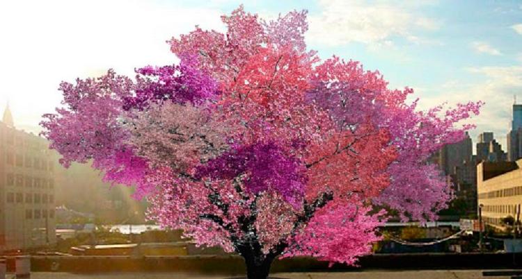 Frankenstein el árbol 2 Frankenstein