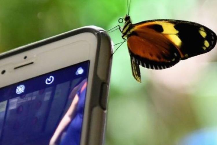 wifi El Día Mundial Sin Wifi es promovida por varios grupos y defensores de la desconexión digital y la conciencia tecnológica.