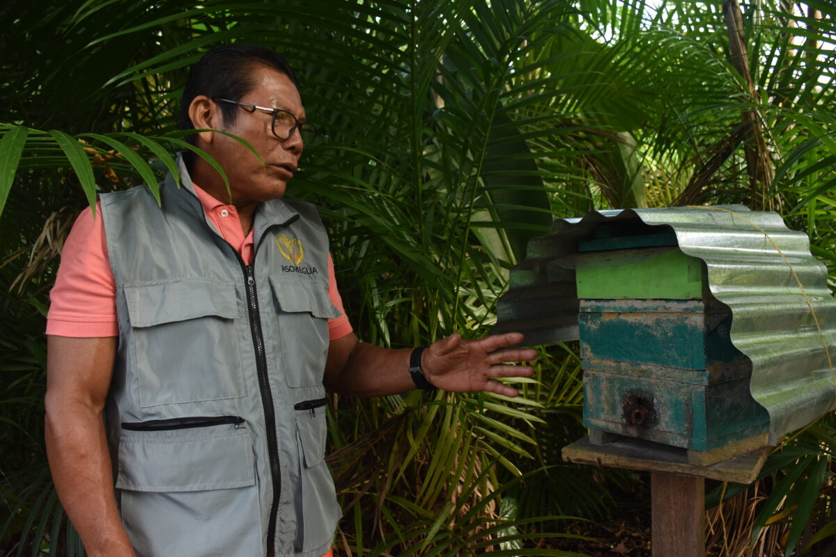 DSC_2687 1200x800 DSC_2687 1200x800