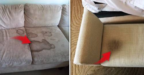 2 trucos infalibles para eliminar malos olores y manchas en el sofá que saldrán casi gratis 2 trucos infalibles para eliminar malos olores y manchas en el sofá que saldrán casi gratis