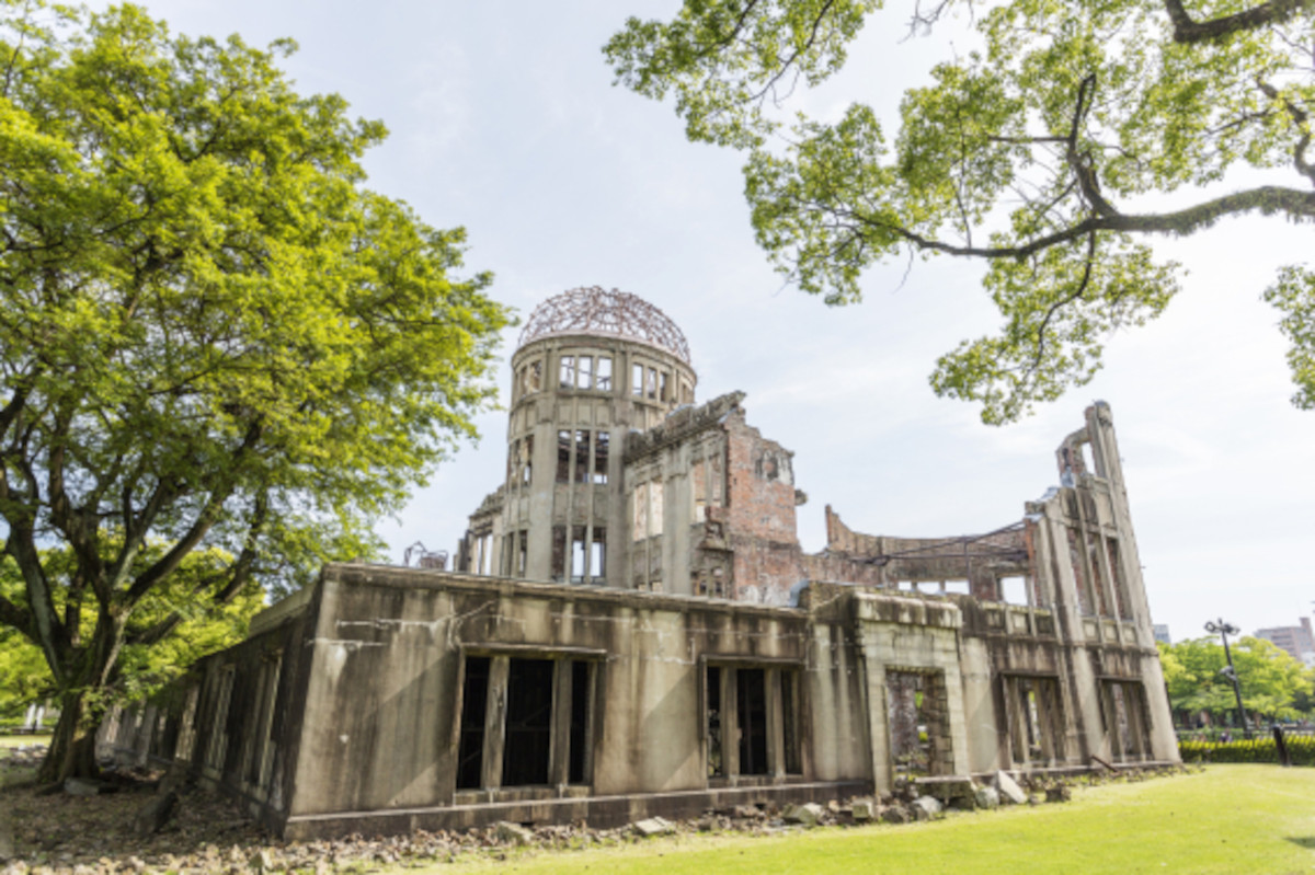 árbol japón3 árbol japón3