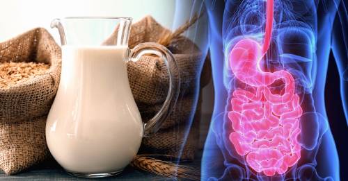 ¿Qué es la leche de avena, por qué está tan de moda y cuáles son sus beneficios?