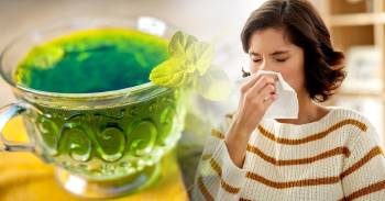 12 infusiones combatir sintomas gripe