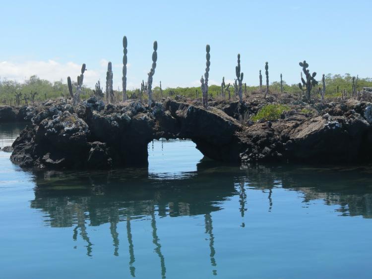 tunel de lava Ecuador: proponen canje de deuda externa por naturaleza para proteger a las Islas Galápagos