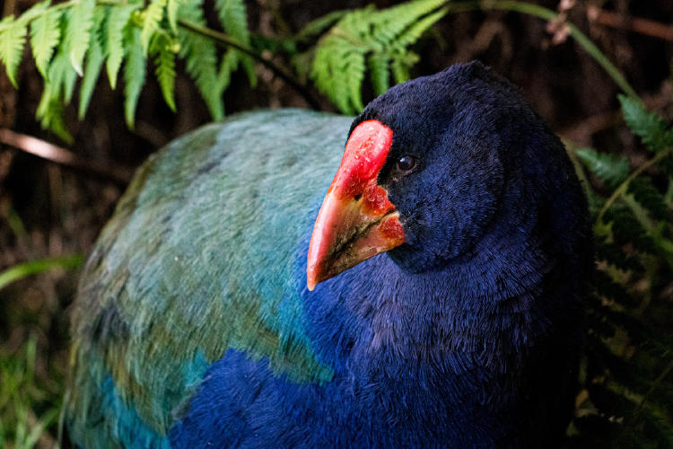 tahake AdobeStock_287337112 tahake AdobeStock_287337112