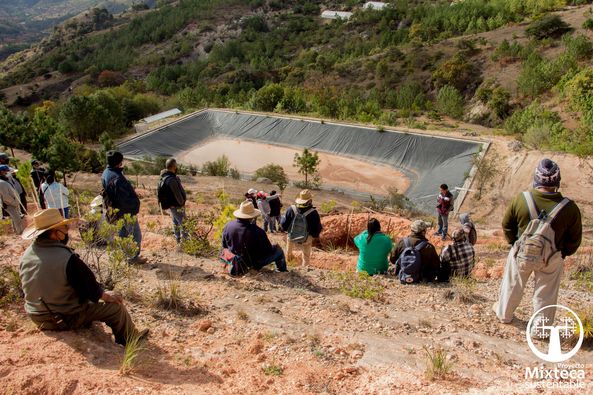 grupo Mixteca grupo Mixteca