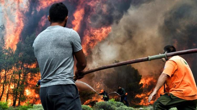 5fa4340dc255c 5fa4340dc255c