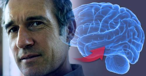 ¿Qué pasa en el cerebro cuando cumplimos 50 La respuesta te volverá optimista