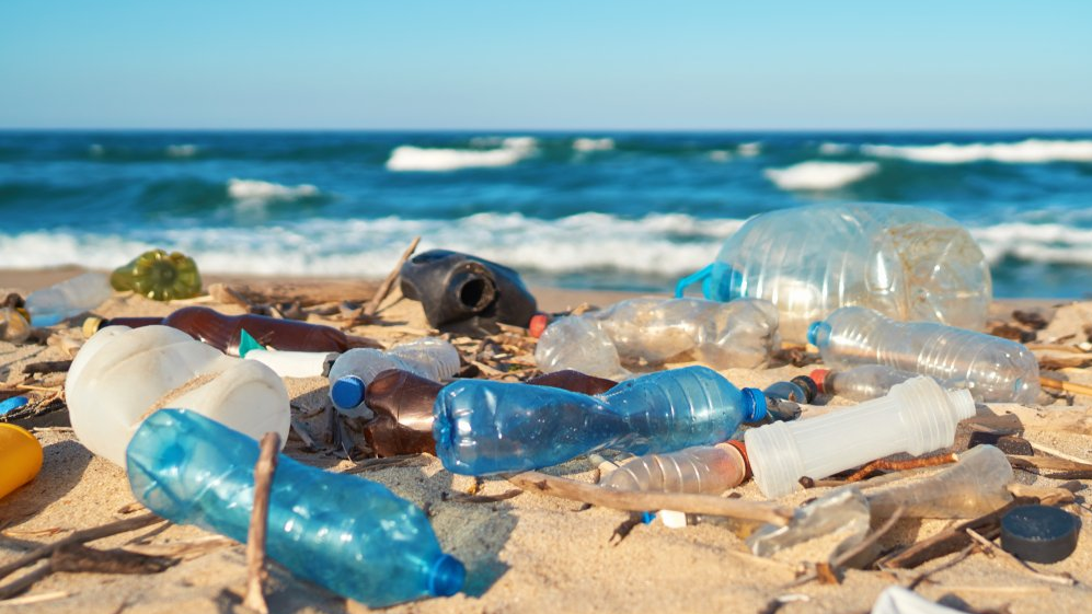 playa plastica una playa cubierta de residuos plasticos