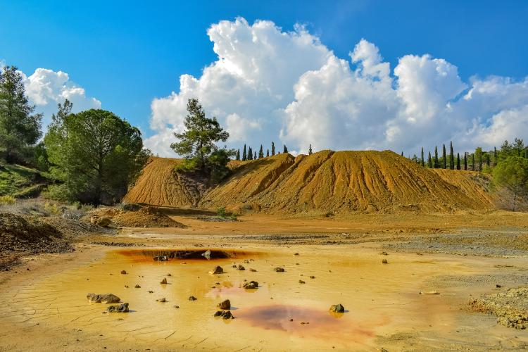 10 ejemplos de restauración ecológica para conocer