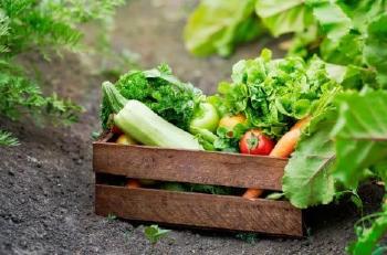 cultivo colectivo2 cultivo colectivo2