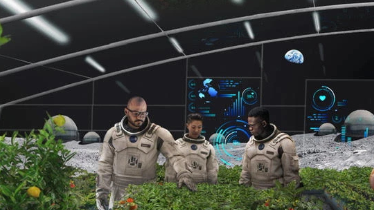 plantas en la luna Green Moon Project: la iniciativa española para cultivar plantas en la Luna (infoespacial.com)