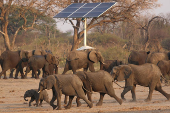 elefantes La reserva tiene sólo una capacidad para 880 elefantes en toda la zona. (Reuters)